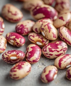 Cranberry Bean Seeds - Taylor's Horticultural Bush - Heirloom Bush Beans - 20 Seeds - Image 2