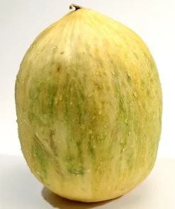 Crenshaw Melon Seeds - 30 Muskmelon Cranshaw Cucumis Melo Fruit Seeds - Image 1
