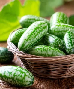 Cucamelon Mouse Melon Seeds 10 Count - Mini Cucumber-Like Fruit Seeds for Gardens & Containers - Image 5