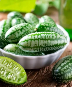 Cucamelon Mouse Melon Seeds - 10 Count - Unique Mini Cucumber-Like Fruits for Gardens - Image 3