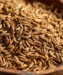 Cumin Seeds - 150 Heirloom Spice Seeds for Cooking & Medicinal Use - Image 4