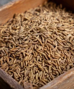 Cumin Seeds - 150 Heirloom Spice Seeds for Cooking & Medicinal Use - Image 5