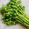 Cutting Celery Seeds - 200 Count | Flavorful Leaf Celery Herb for Culinary Gardens - Image 1