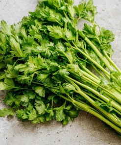 Cutting Celery Seeds - 200 Count | Flavorful Leaf Celery Herb for Culinary Gardens - Image 1