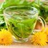 Dandelion Seeds - Taraxacum officinale - Edible & Medicinal Herb - 50 Seed Pack - Image 1