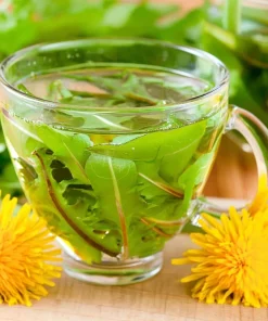 Dandelion Seeds - Taraxacum officinale - Edible & Medicinal Herb - 50 Seed Pack - Image 1