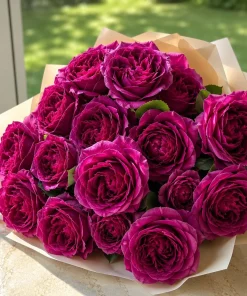 Dark Purple Rose Live Plant - Fragrant Floribunda Bush, 4-6 Inch Tall - Image 1