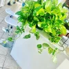 Devil's Eye Pothos Live Plant Cuttings - Large Rooted Starter Houseplant - Image 1