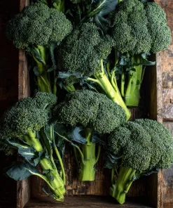 Di Cicco Broccoli Seeds – Heirloom Italian Variety – 200 Seeds – Easy-to-Grow - Image 4