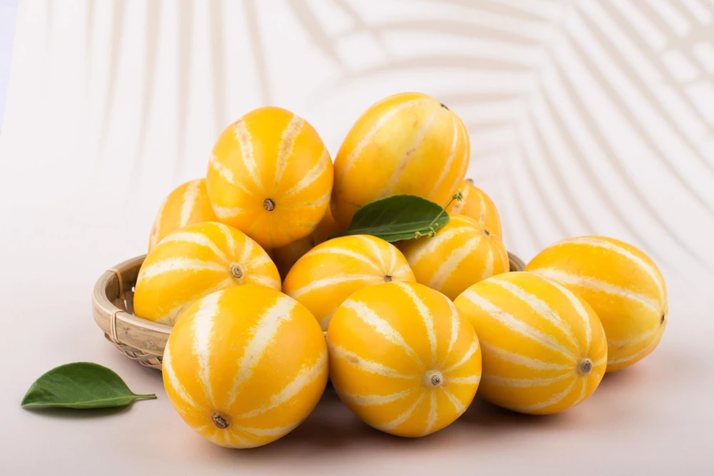 Early Silver Line Melon Seeds, 50 Seeds, Yellow Striped Korean Fruit - Image 4