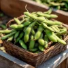 Edamame Seeds - Tender Soybean for Home Gardens, 25 Seed Pack - Image 1