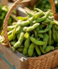 Edamame Seeds - Tender Soybean for Home Gardens, 25 Seed Pack - Image 4