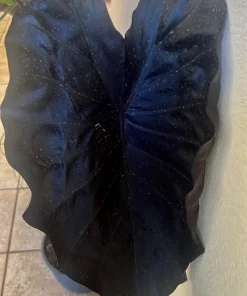 Elephant Ear Live Plant - Black or Green Alocasia Potted Houseplant - Image 3