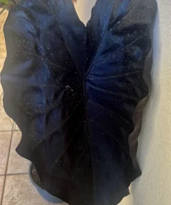 Elephant Ear Live Plant - Black or Green Variety - Potted Houseplant - Image 3