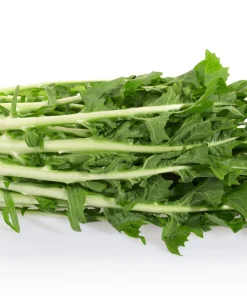 Emerald Catalogna Endive Seeds - 800 Italian Chicory Seeds for Garden - Image 1