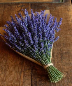 English Lavender Seeds - Vera Lavandula angustifolia - Fragrant Purple Flowers - 200+ Seeds - Image 4