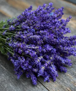 English Lavender Seeds - Vera Lavandula angustifolia - Fragrant Purple Flowers - 200+ Seeds - Image 5