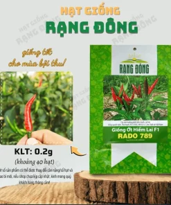 F1 Hot Pepper Seeds - Spicy Chili Pepper Seeds for Planting (40 Seeds) - Image 2