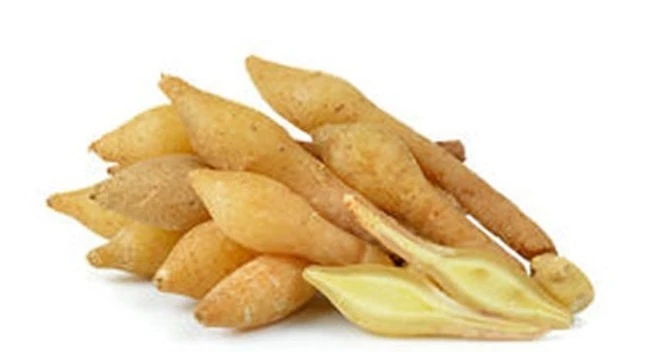 Finger Root Live Plant - Chinese Ginger Starter Plant 4-6 inches - Krachai Herb - Image 3