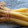 Finger Root Live Plant - Chinese Ginger Starter Plant 4-6 inches - Krachai Herb - Image 1