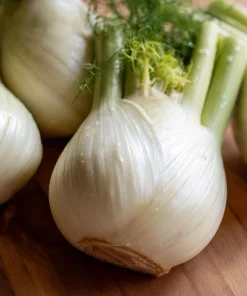 Florence Fennel Seeds – Heirloom Bulbing Finocchio Herb 200 Seeds – Outdoor Vegetable Garden - Image 2