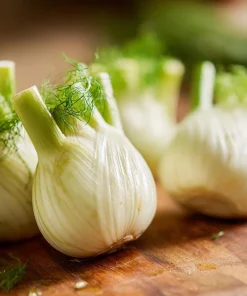Florence Fennel Seeds – Heirloom Bulbing Finocchio Herb 200 Seeds – Outdoor Vegetable Garden - Image 4