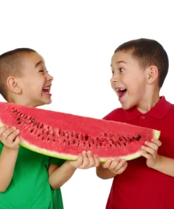 Florida Giant Watermelon Seeds – 50 Seed Pack – Cannon Ball Black Diamond Type - Image 10