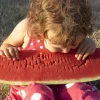 Florida Giant Watermelon Seeds – 50 Seed Pack – Cannon Ball Black Diamond Type - Image 1