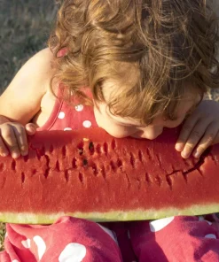 Florida Giant Watermelon Seeds – 50 Seed Pack – Cannon Ball Black Diamond Type - Image 1