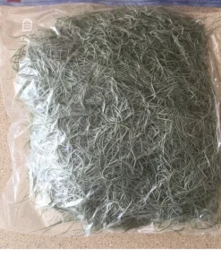 Fresh Live Spanish Moss, 1 Gallon (12 oz) Tillandsia usneoides for Crafts - Image 2