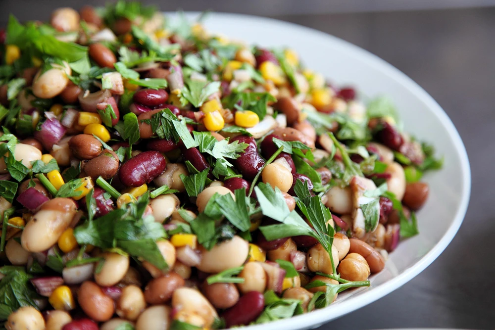 Garbanzo Bean Seeds - 15 Chickpea Vegetable Seeds for Planting - Cicer Arietinum - Image 9