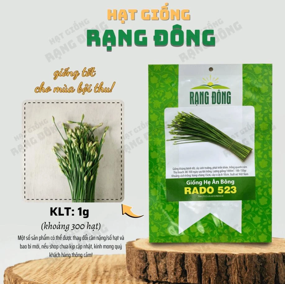 Garlic Chives Flower Seeds – 300 Seeds – Allium tuberosum – Leek Flowering Seeds - Image 2