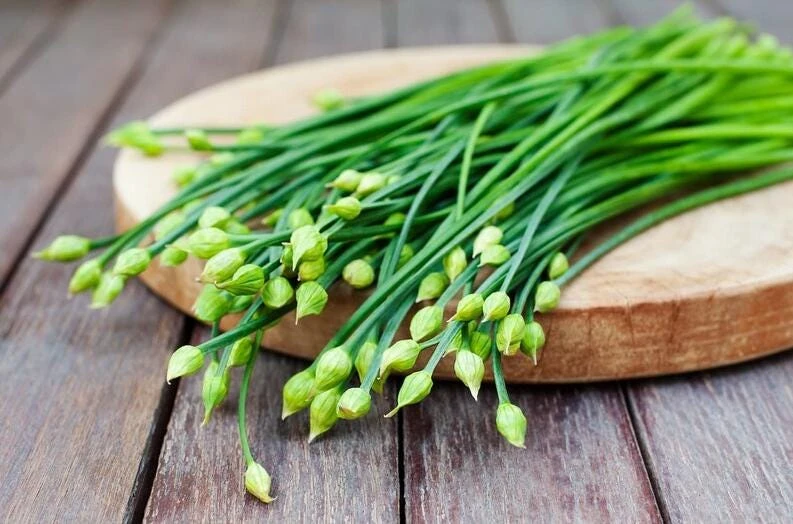 Garlic Chives Flower Seeds – 300 Seeds – Allium tuberosum – Leek Flowering Seeds - Image 3