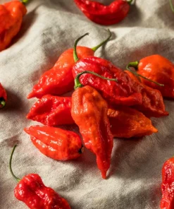 Ghost Pepper Seeds - Bhut Jolokia Chili Vegetable Seeds - 20 Count - Image 2