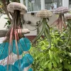 Giant Air Plant Live Plant - Tillandsia for Shelves - Easy Care Houseplant - Image 1