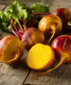 Golden Detroit Beet Seeds – Heirloom Yellow Beets – 150 Seeds – Easy-to-Grow - Image 3