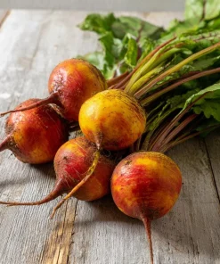 Golden Detroit Beet Seeds – Heirloom Yellow Beets – 150 Seeds – Easy-to-Grow - Image 1