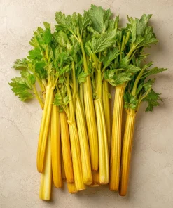 Golden Pascal Celery Seeds – Heirloom Variety – 100 Seed Pack – Easy to Grow Outdoor Vegetable - Image 3