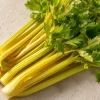 Golden Pascal Celery Seeds – Heirloom Variety – 100 Seed Pack – Easy to Grow Outdoor Vegetable - Image 1