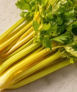 Golden Pascal Celery Seeds – Heirloom Variety – 100 Seed Pack – Easy to Grow Outdoor Vegetable - Image 1