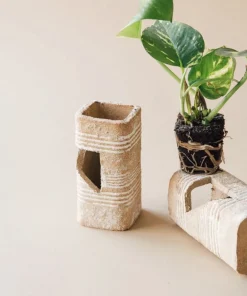 Golden Pothos Live Plant with Pot & Soil – Easy Care Indoor Houseplant - Image 6