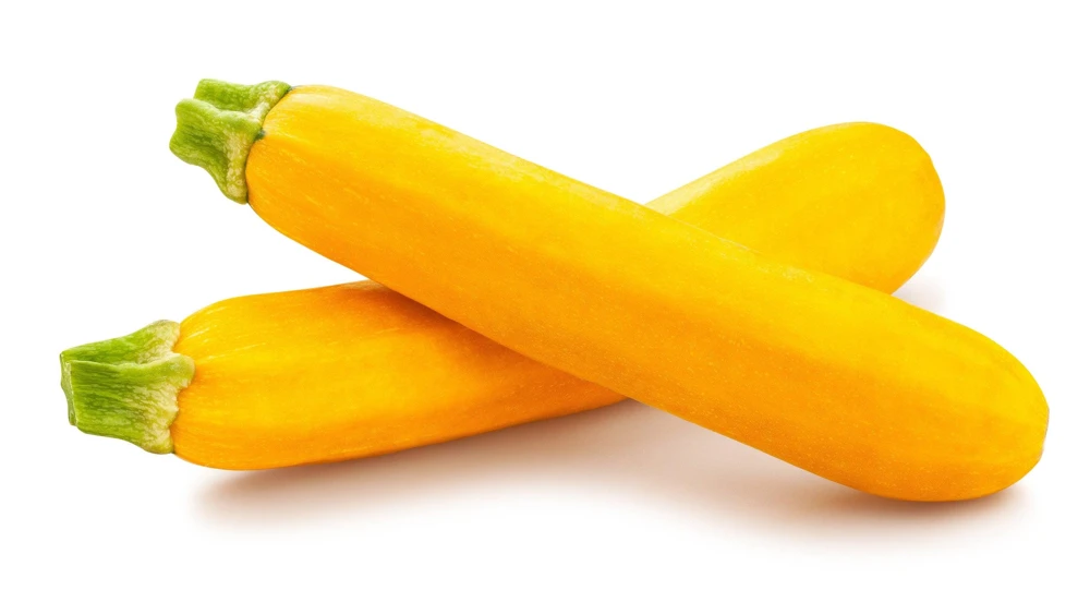 Golden Zucchini Seeds - 50 Heirloom Summer Bush Squash Seeds - Image 4