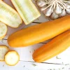 Golden Zucchini Seeds - 50 Heirloom Summer Bush Squash Seeds - Image 1