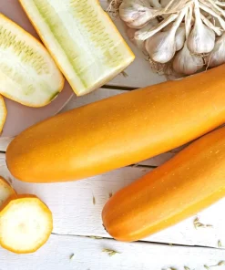 Golden Zucchini Seeds - 50 Heirloom Summer Bush Squash Seeds - Image 1
