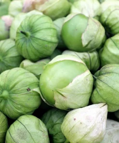 Grande Rio Verde Tomatillo Seeds - 200 Count Green Physalis Ixocarpa - Image 1