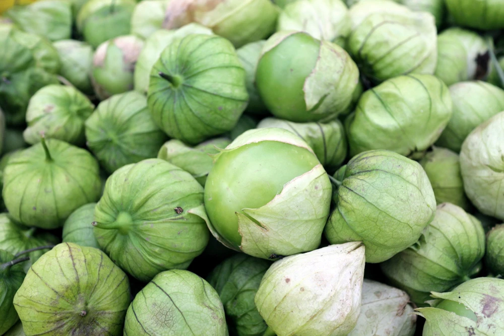 Grande Rio Verde Tomatillo Seeds - 200 Count Green Physalis Ixocarpa - Image 1