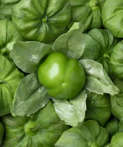 Grande Rio Verde Tomatillo Seeds - 200 Count Green Physalis Ixocarpa - Image 8
