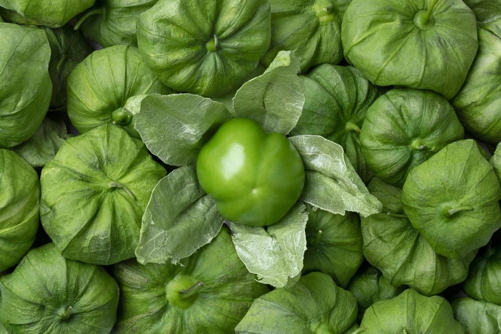 Grande Rio Verde Tomatillo Seeds - 200 Count Green Physalis Ixocarpa - Image 8