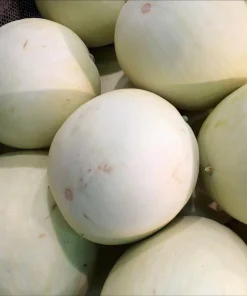 Green Flesh Honeydew Melon Seeds - 20 Count - Sweet & Juicy Melons for Gardens - Image 2