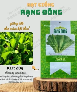 Green Leaf Mustard Seeds for Planting - 20g (2000 Seeds) - Asian Mustard Green - Image 2